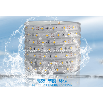Low Voltage 3V White Waterproof Christmas Light